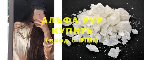 PSILOCYBIN Белокуриха