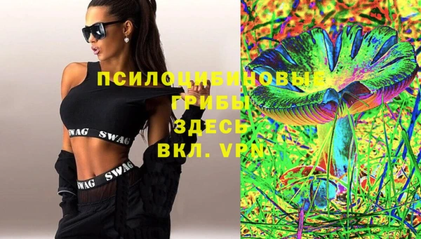 PSILOCYBIN Белокуриха