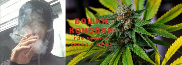 PSILOCYBIN Белокуриха