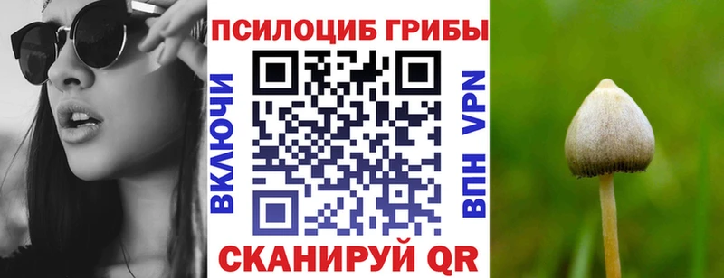 Псилоцибиновые грибы GOLDEN TEACHER  Высоковск 